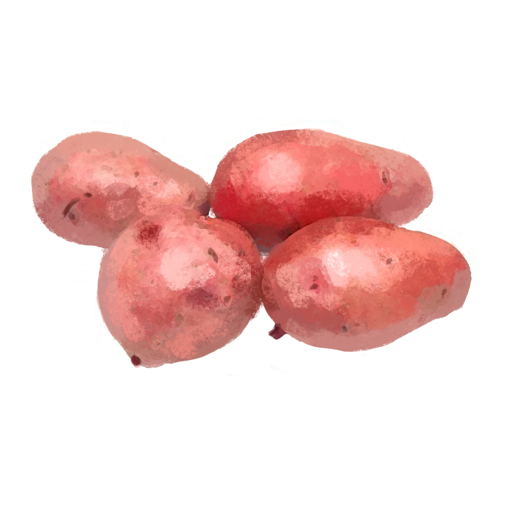 PATATE ROSSE